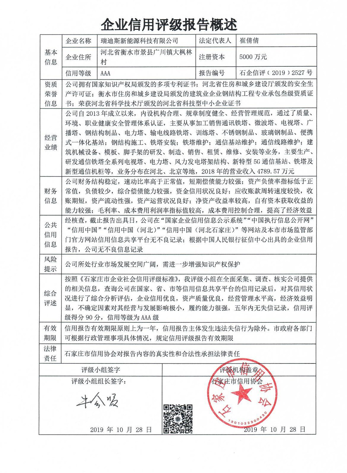 瑞迪斯新能源科技有限公司